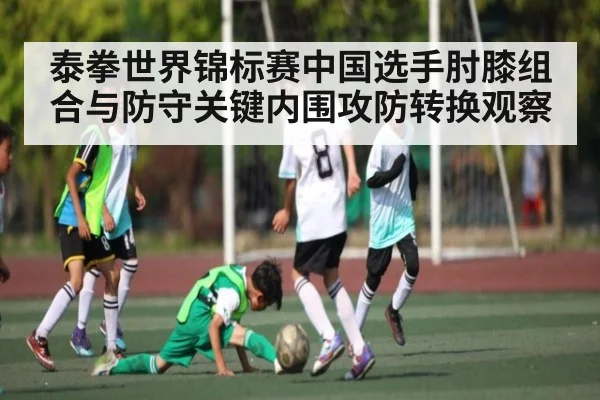 泰拳世界锦标赛中国选手肘膝组合与防守关键内围攻防转换观察